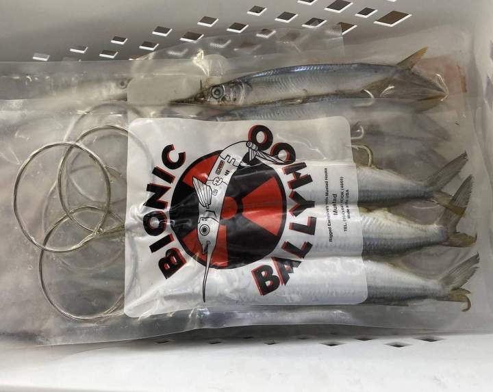 Fishing Bait Bionic, Miami