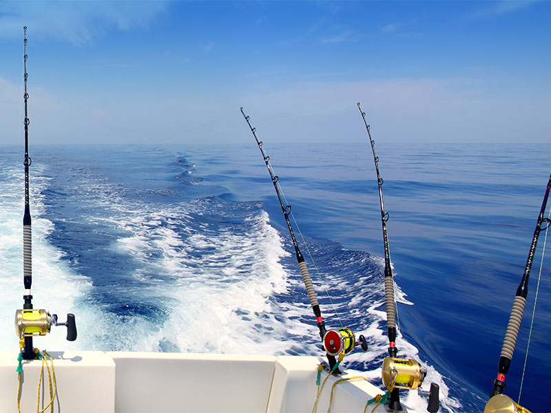 Fishing Rods Miami Springs